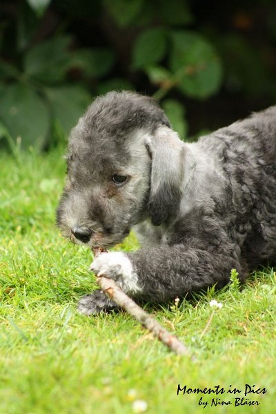 Antares 2009-07-12 (8).JPG